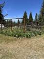 NSA Emigrant Creek Road - Photo 49