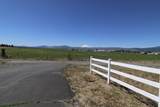 12338 Mt Rainier St - Photo 12
