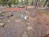5638 Rocky Ridge Rd. - Photo 14