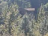 43331 Hwy 96 - Photo 39