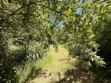 214 Buckhorn Road - Photo 5