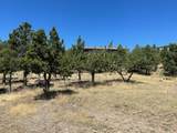 14916 Mountain Wood Dr. - Photo 40