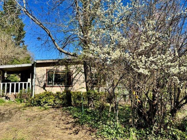 214 Buckhorn Road - Photo 1