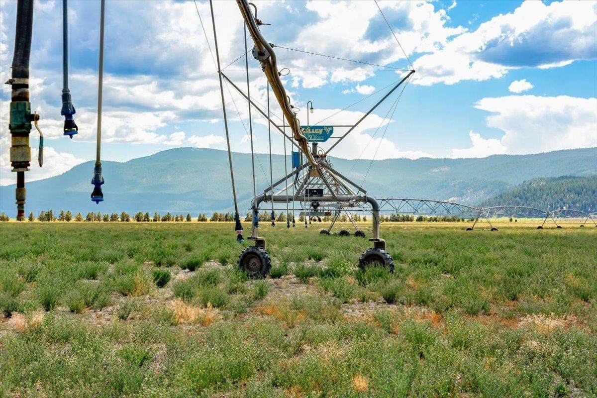 8633 Meiss Lake Sams Neck Rd - Photo 1