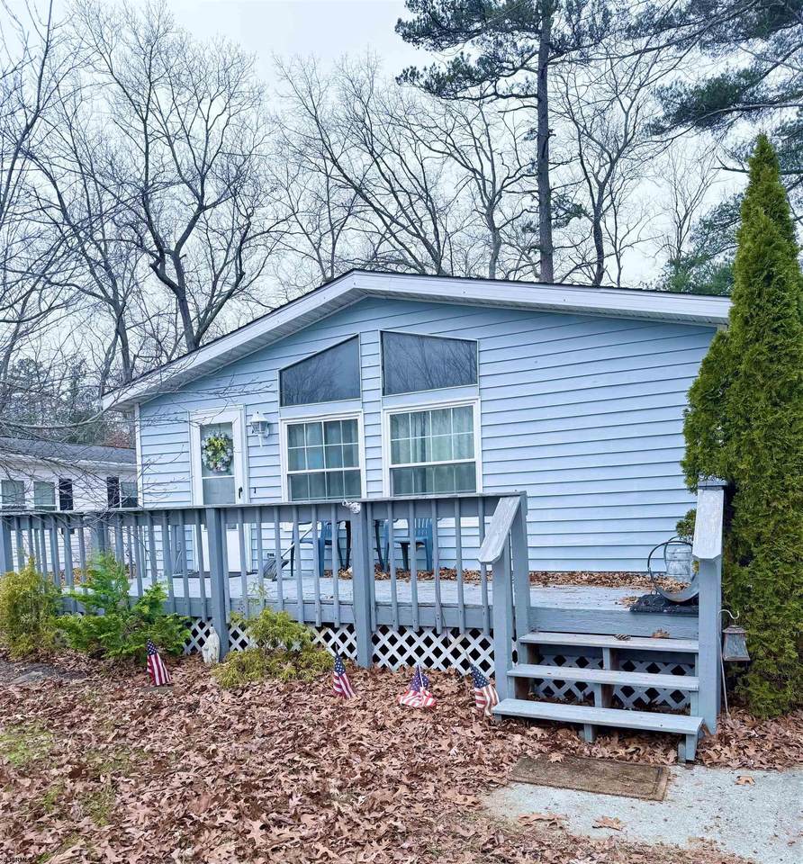 13 Cardinal - Photo 1