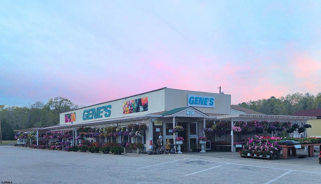 7317 Black Horse - Photo 1