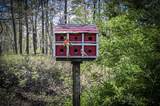 28 Knollwood - Photo 28