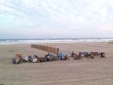 3851 Boardwalk - Photo 45