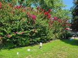 9 Fawn Ln - Photo 7
