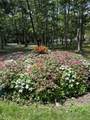 24 Country Magnolia - Photo 28