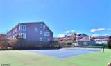 515 Conch - Photo 14