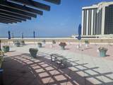 3101 Boardwalk - Photo 45