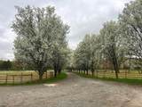 308 Willis Rd - Photo 14