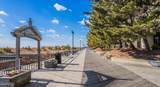 3851 Boardwalk - Photo 14