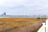 12 Gull - Photo 4