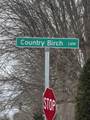 17 Country Birch - Photo 19