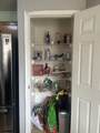 5 Sassafras - Photo 17