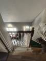 5 Sassafras - Photo 27