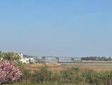 706 A Lagoon - Photo 19