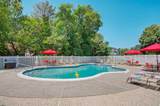 1105 Dolphin - Photo 36