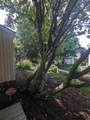 18 Greate Bay - Photo 47