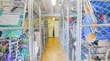 9609 Ventnor - Photo 24