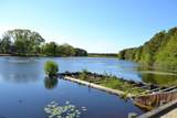 9 Courtland - Photo 37