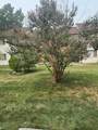 23 Country  Birch - Photo 19