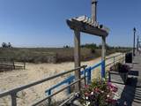 3801 Boardwalk - Photo 8