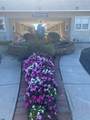 9010 Atlantic - Photo 4
