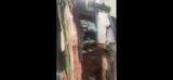 1009 Bay Ave - Photo 6