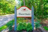 40 Pheasant Meadow - Photo 19