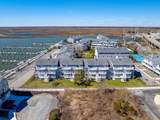 221 Limpet - Photo 11