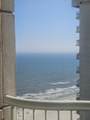 3101 Boardwalk - Photo 8