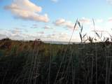 120 Dunlin - Photo 60