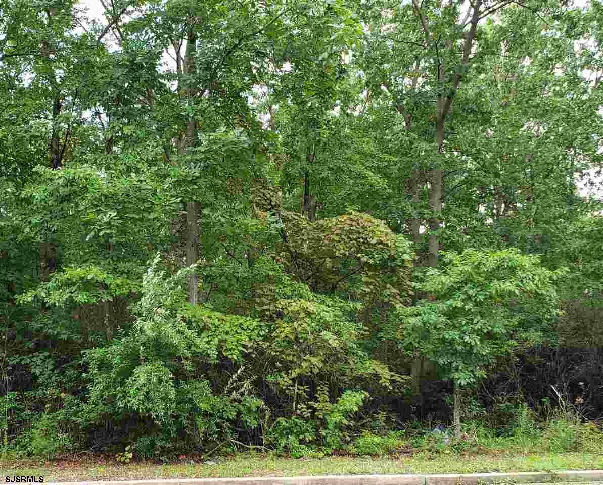 3477 Cedarville Rd - Photo 1