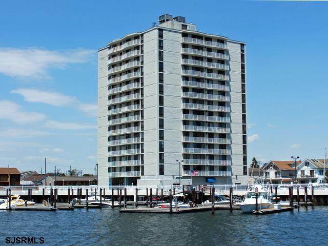 236 Derby - Photo 1