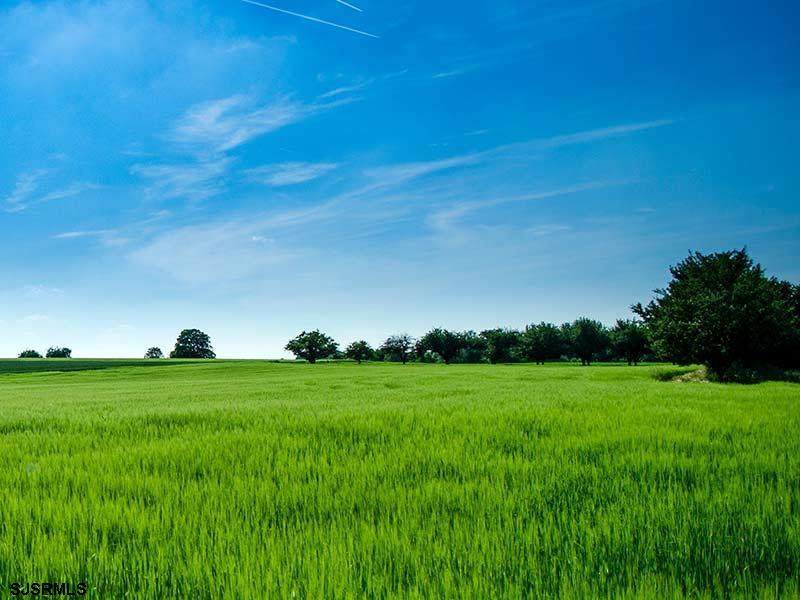 40 Butter Road - Photo 1