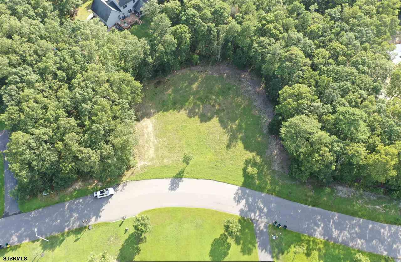 810 Forest Park - Photo 1