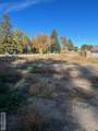 TBD Shipp Avenue - Photo 5