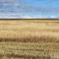 TBD 4600 E - Photo 45