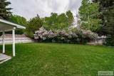 2325 Balboa Drive - Photo 67