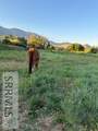 394 Hwy 93 - Photo 23