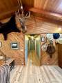 4 Mule View Lane - Photo 13