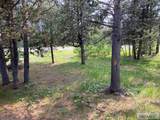 4175 Big Springs Loop Road - Photo 14