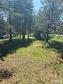 4175 Big Springs Loop Road - Photo 46