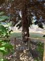 117 Sage Hen Rd - Photo 6