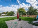 1164 Cassia - Photo 24