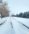 4106 67 N - Photo 59