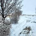 4106 67 N - Photo 65